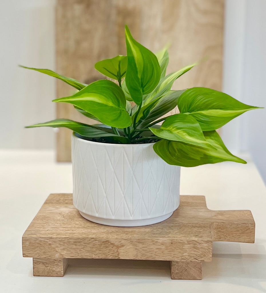 Wood Pedestal Plant Stand, Plant Pot Soap Stand, Wood Riser Soap