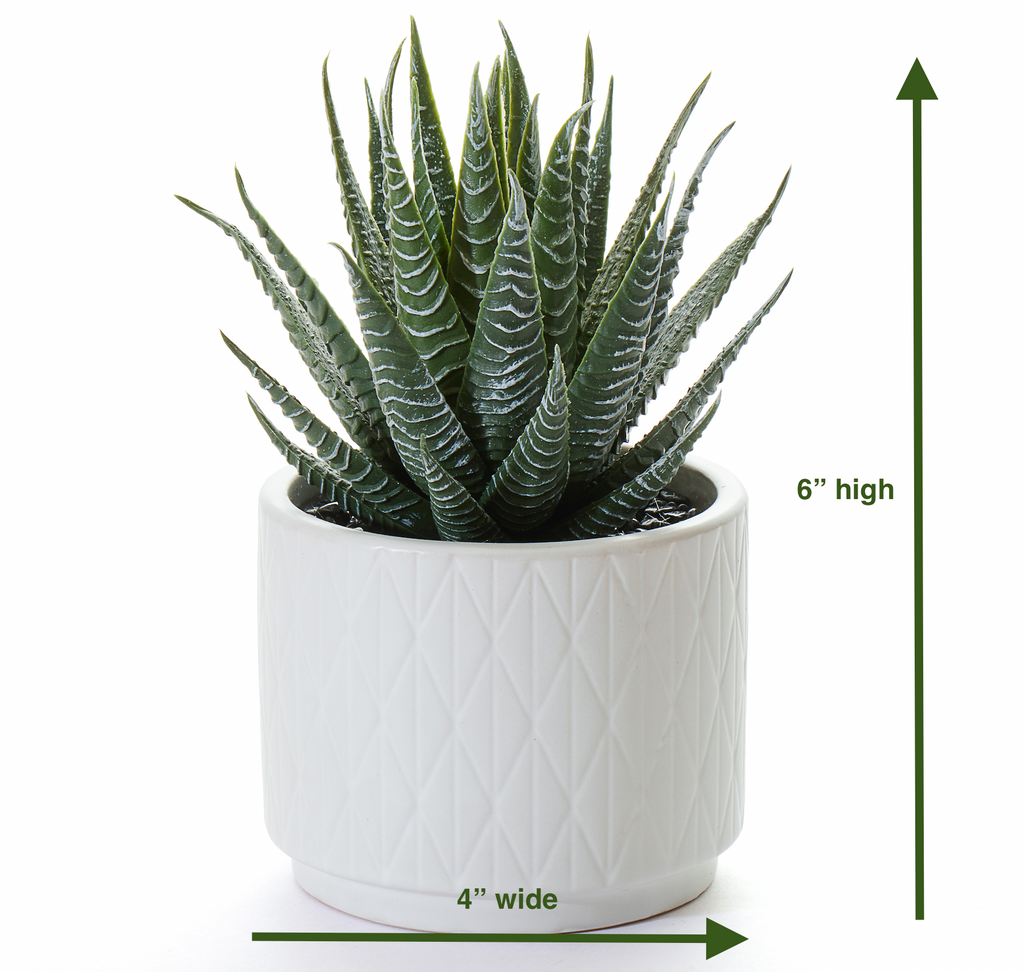 ceramic pot for aloe plant Artificial Dark Green Aloe Plant in Matte White Ceramic Pot 6" high – Kurrajong Farmhouse USA